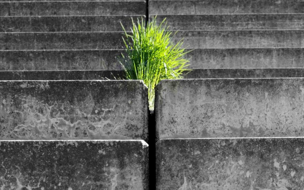 Bright green grass growing between gray concrete slabs, symbolizing resilience and life amidst stark urban structures - WebGrit